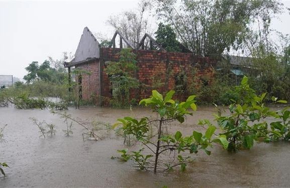 连日来，广治省海陵县许多地势低洼的乡村已被深水淹没。（图：越通社）