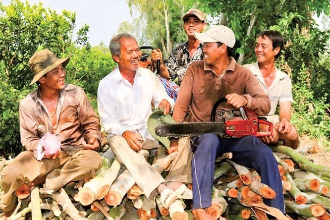 张文钳老伯(左起第二)与慈善团队成员去锯树，为穷人兴建房屋。