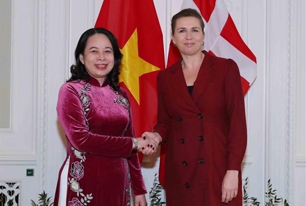 越南国家副主席武氏映春与丹麦首相举行会谈。（图：越通社）