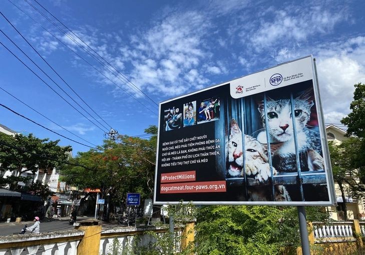 图为挂在会安市一路旁显眼位置的劝告不宜售卖及食用猫狗肉的宣传海报。（图：B.D）