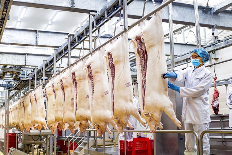 冷鲜猪肉生产技术达欧洲技术标准。