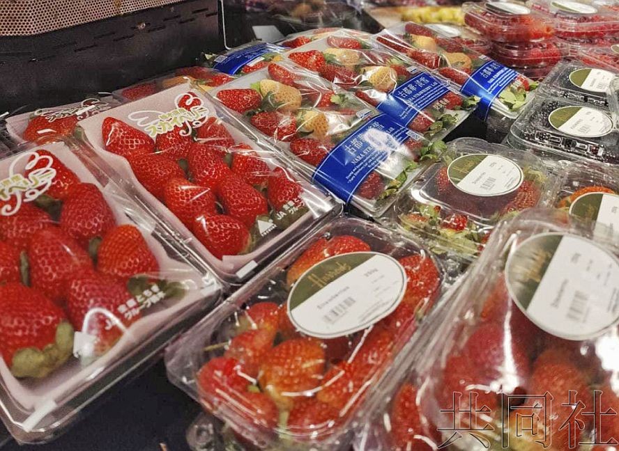 12月21日，英国伦敦高级百货公司哈罗德开始销售日本栃木县和奈良县产的草莓。（图：共同社）