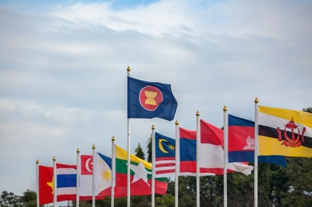 东盟成员国旗帜迎风飘扬。（图：VOV）