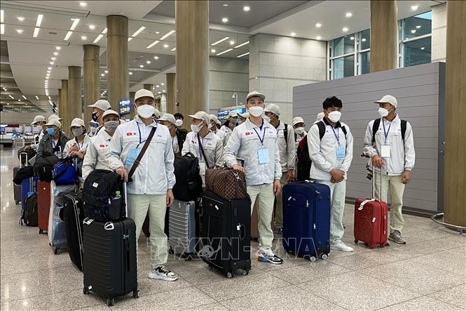 越南劳工在韩国仁川机场等待办理入境手续。（图：越通社）
