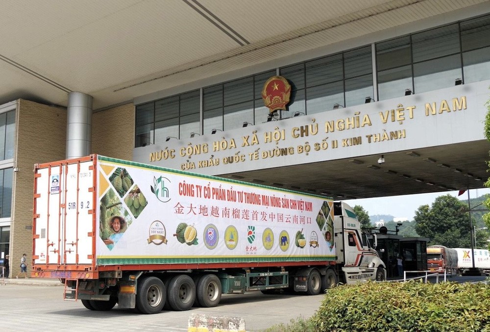 越南水果出口中国市场。（图：越通社）