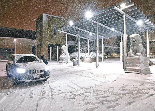 多伦多遭遇暴雪侵袭。（图：互联网）