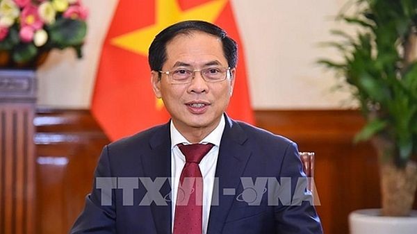 越南外交部长裴青山。（图: 越通社）