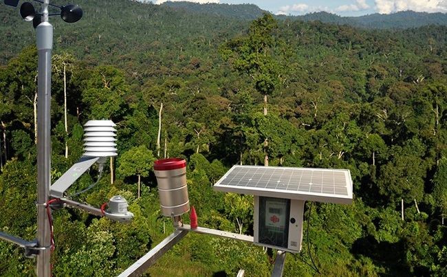 应用遥感技术对森林资源的监测实施方便且精度高，无需浪费大量时间和精力进行实地调查，通过照片就可以确定森林资源的变化。（图：互联网）