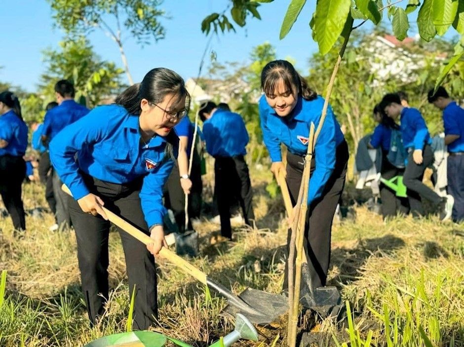 本市青年参加植树活动。（图：市党部新闻网）