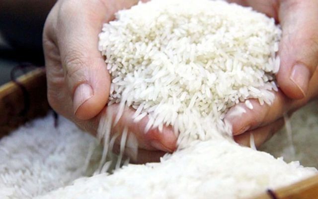 去年，稻米产业创歷史新高，出口量达八百万吨和创汇四十八亿美元。
