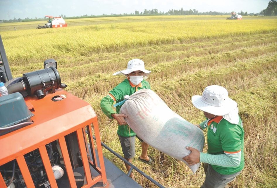 杜绝农民稻米被压价情况