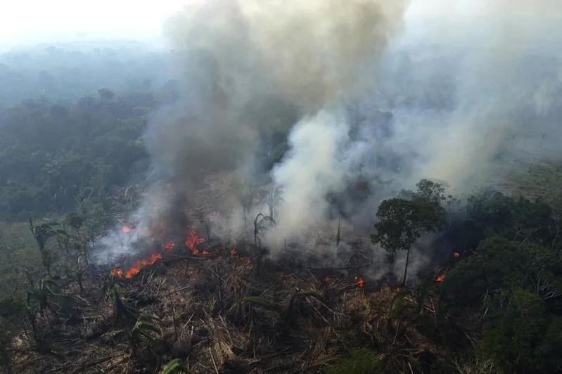 图为2023年亚马逊雨林因森林大火冒出阵阵浓烟。（图：AP）