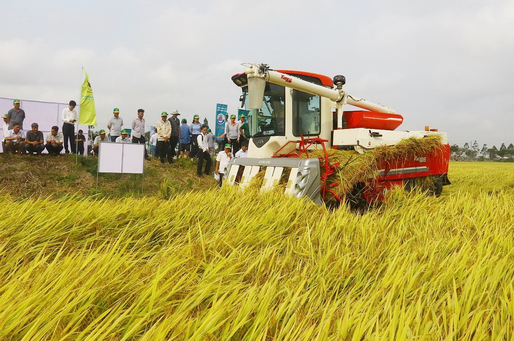 农民从智慧水稻耕作模式盈高利