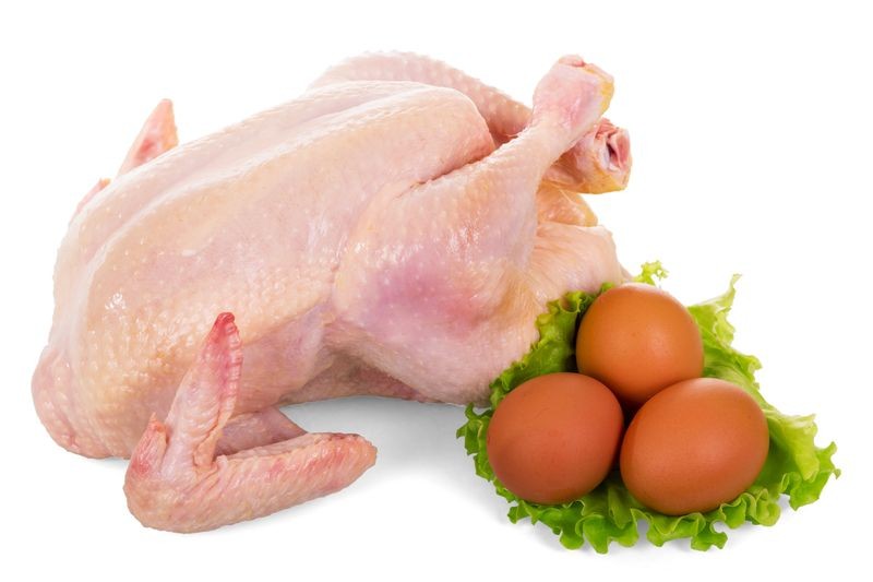 禽流感爆发期应避免吃禽蛋禽肉？