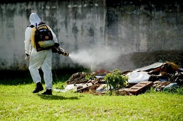在巴西首都巴西利亚一所学校内，公共卫生人员喷洒灭蚊剂。（图：新华社）