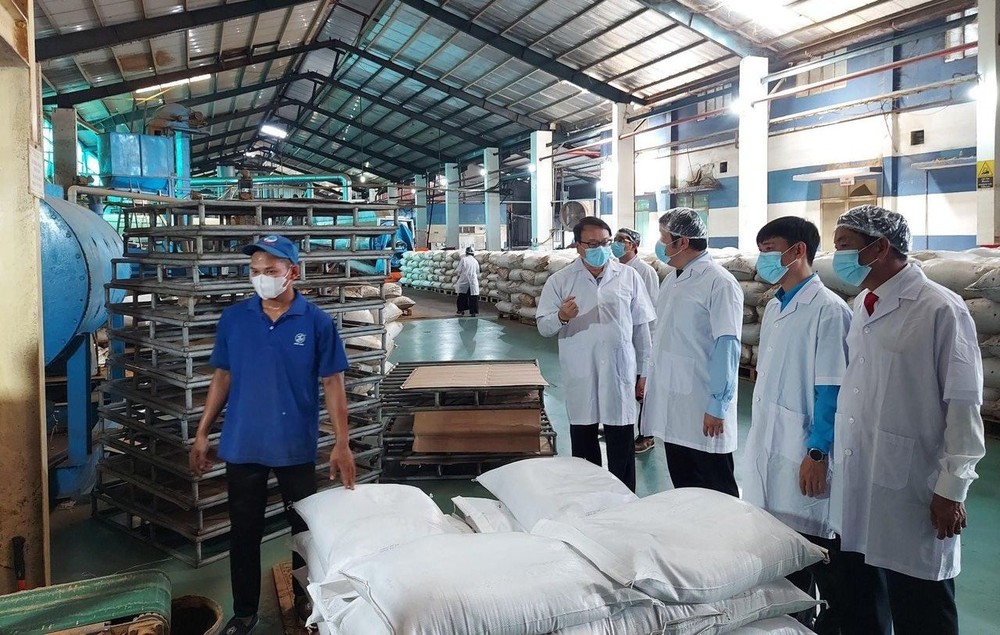 庆和省领导与各部门代表最近参观龙生公司的生产活动。