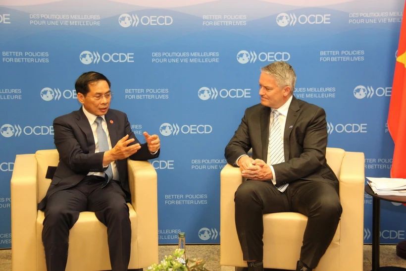越南外交部部长会见经济合作与发展组织秘书长马蒂亚斯‧科尔曼。（图：越通社）