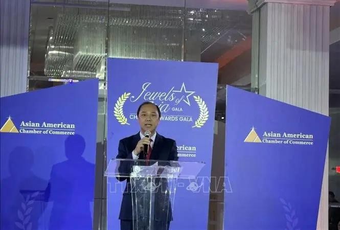 越南驻美大使阮国勇在“2024亚洲宝玉”年度奖颁奖典礼上致词。（图：越通社）