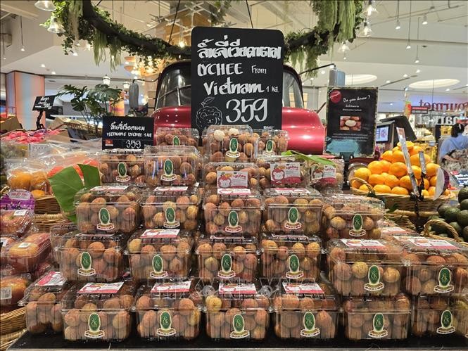 今年首批越南新鲜荔枝6月15日在曼谷Gourmet Market超市上架。