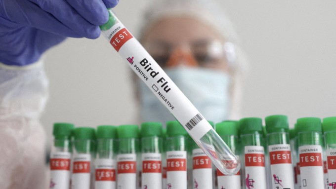 实验室人员拿着写有「禽流感」标签的试管。（图：路透社）