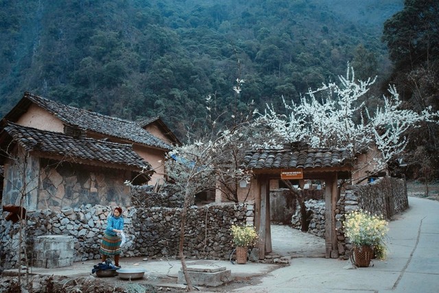 《飘的故事》片中的房子成为了游客来到河江时不可错过的景点。