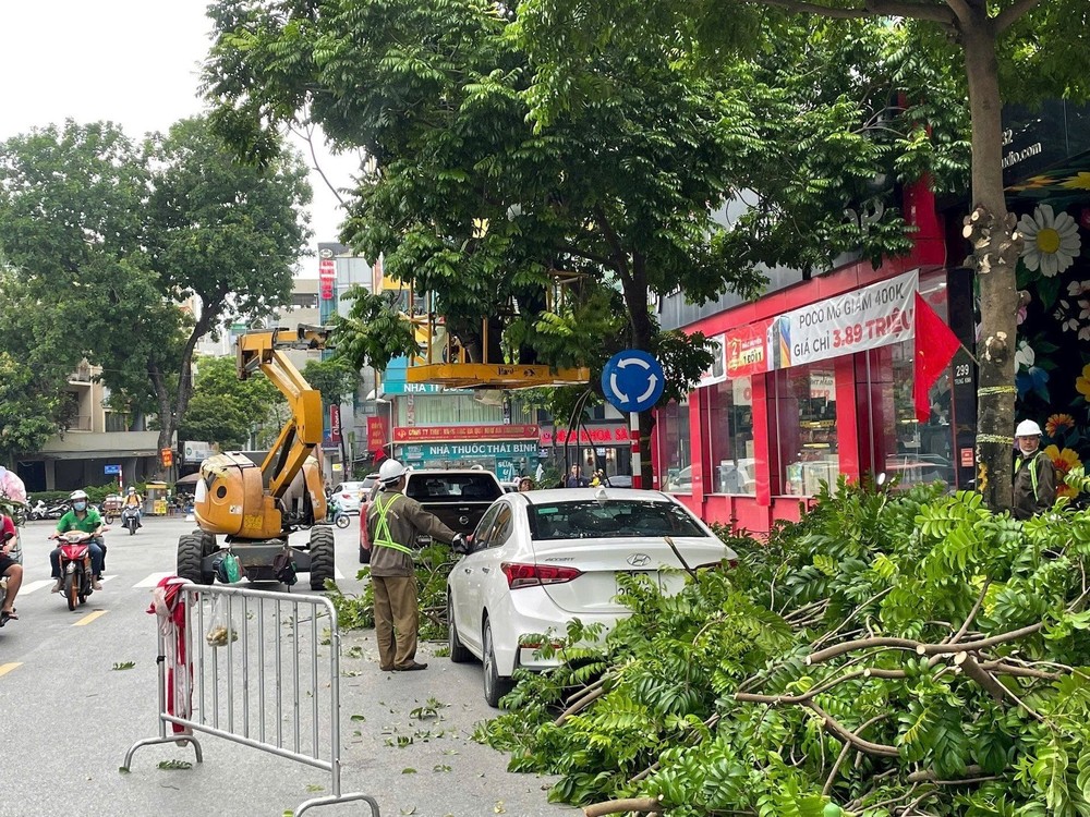 绿树管理人员在路边修剪树枝，积极应对10号台风。（图：水龙）