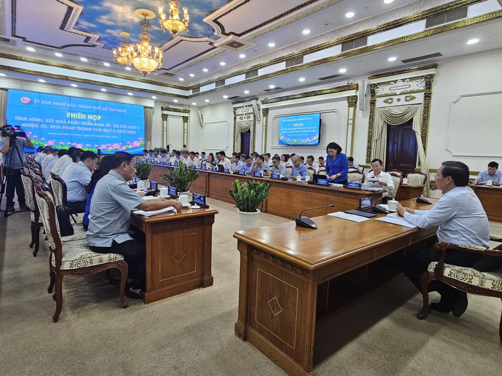 Giám đốc Sở KHĐT Lê Thị Huỳnh Mai báo cáo tại phiên họp