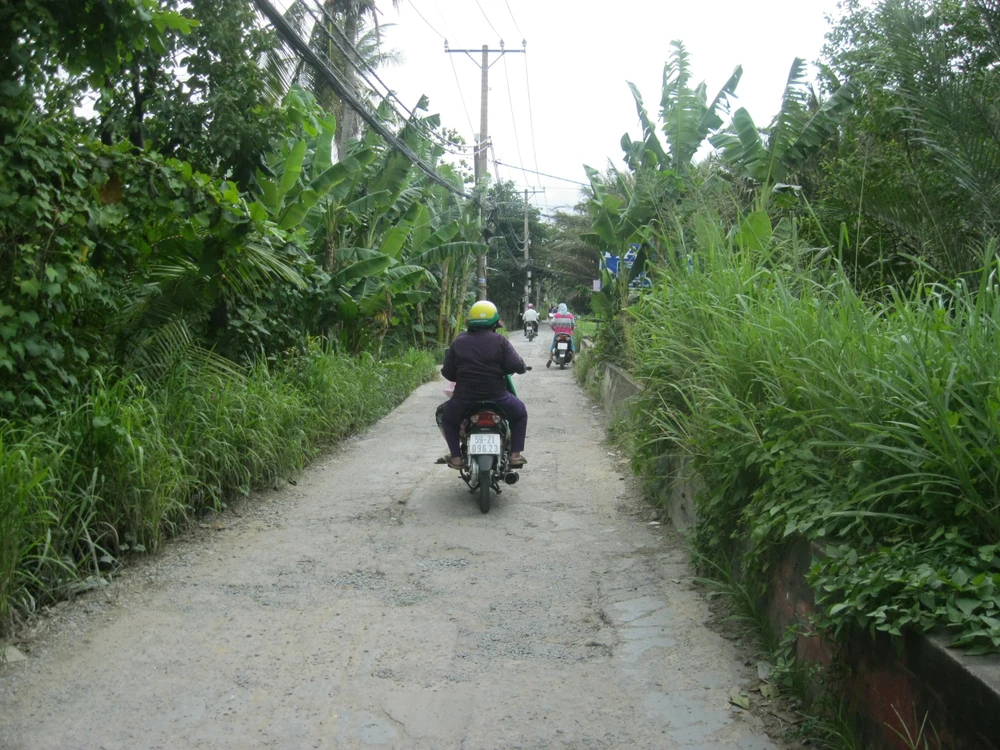 Đất nông nghiệp tại một số huyện ngoại thành cũng dự kiến tăng nhiều lần so với bảng giá hiện hữu