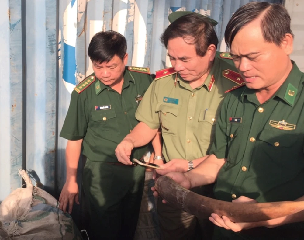 Lực lượng chức năng bắt giữ ngà voi, vảy tê tê nhập qua cảng Tiên Sa