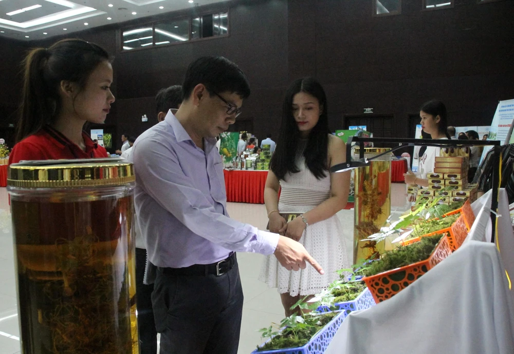Quảng Nam đã ứng dụng khoa học, công nghệ vào bảo tồn và phát triển sâm Ngọc Linh