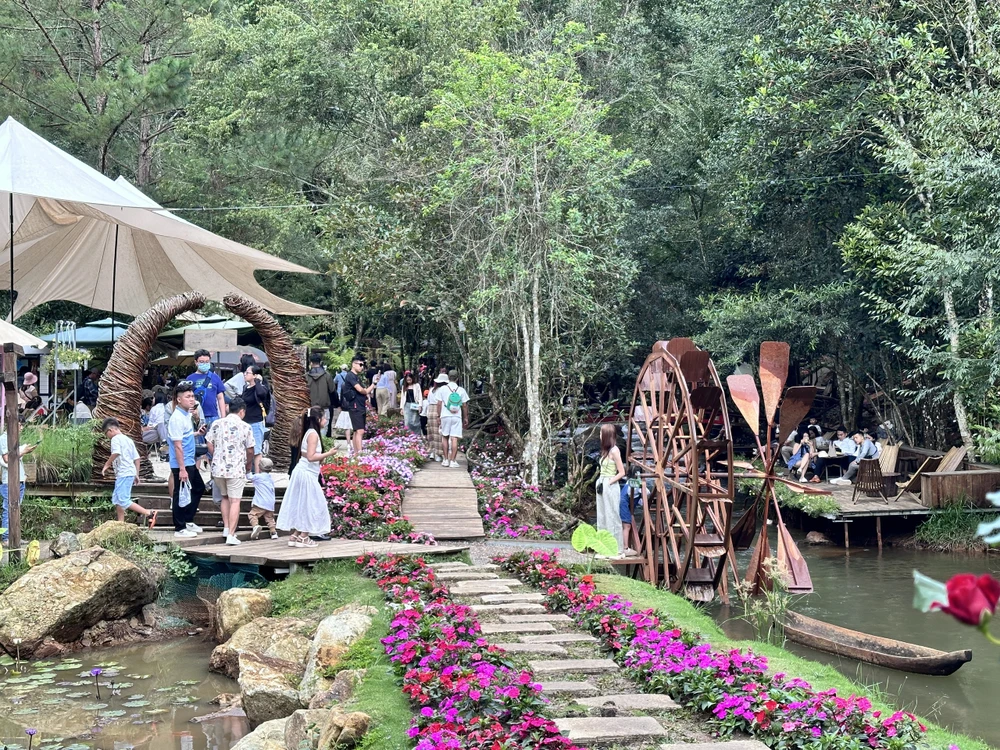 Many tourist attractions offer free tickets to visit the opening day of the Dalat Flower Festival