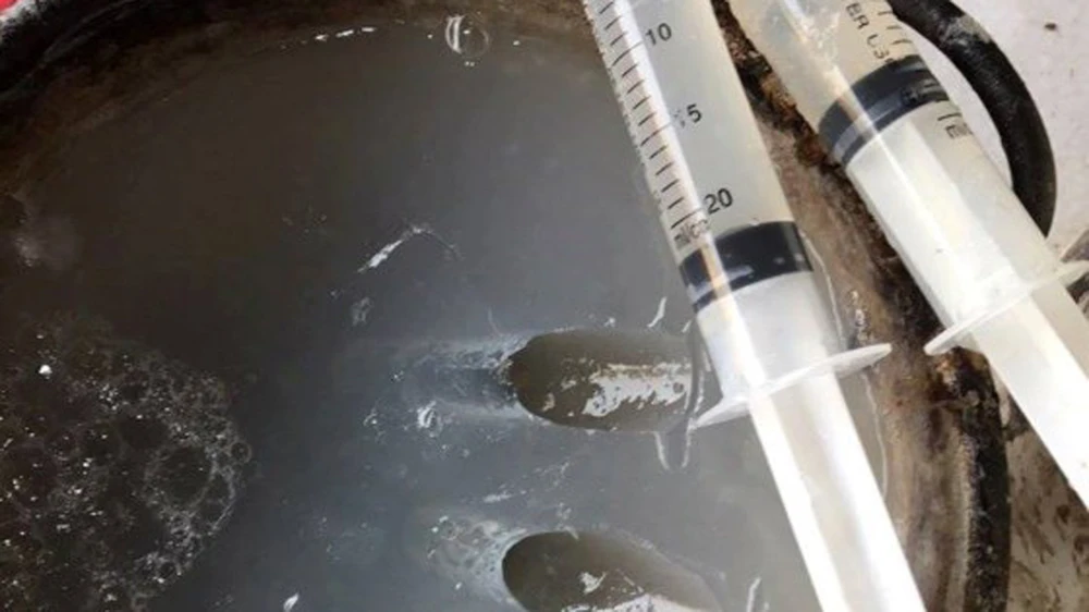 Tang vật vụ bơm tạp chất vào tôm bị phát hiện sáng ngày 2-8