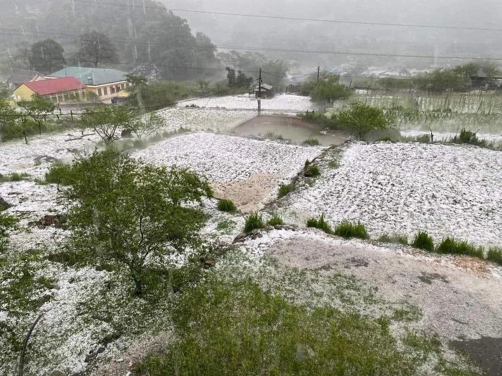 Mưa đá trắng trời trắng đất như băng tuyết ở các xã Hang Kia - Pà Cò, huyện Mai Châu (Hòa Bình) chiều qua 24-4. Ảnh: HOÀI LINH
