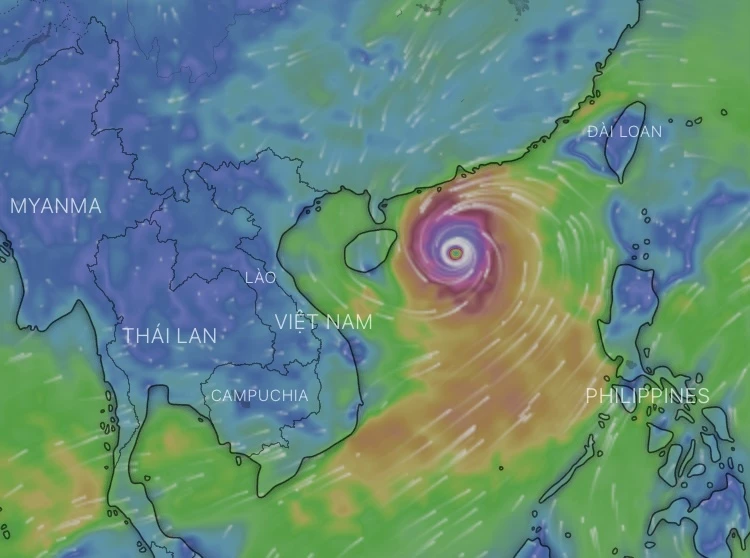 Áp thấp nhiệt đới đã mạnh thành bão Yagi, xác suất 80% vào Biển Đông- Ảnh 2.