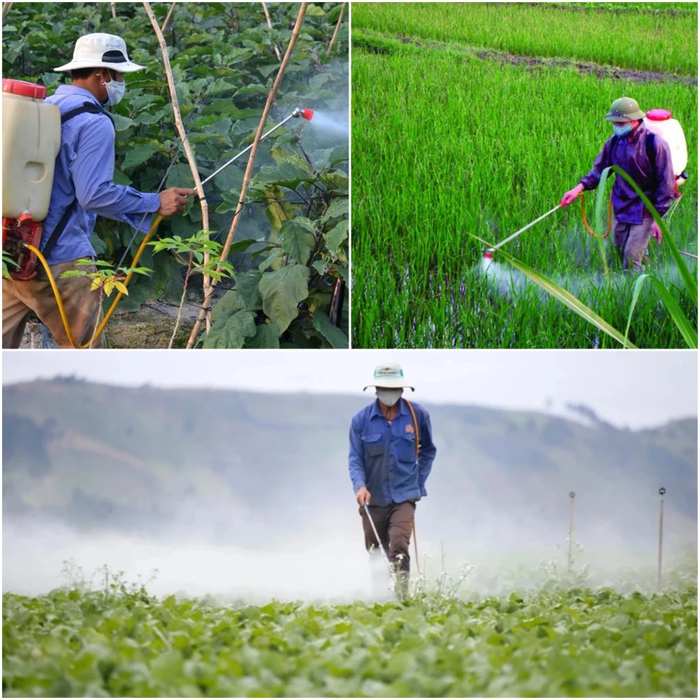 Hơn 80% nhà máy thuốc bảo vệ thực vật đang chuyển sang sinh học- Ảnh 1.