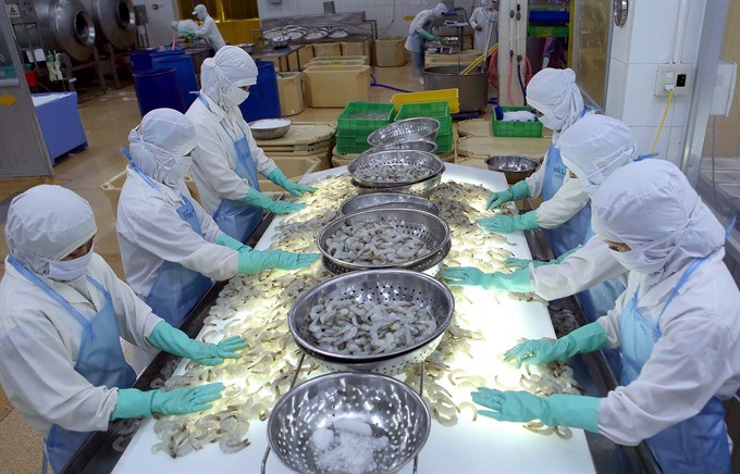  ​ Workers process frozen shrimps for export at the Cuu Long Seaproducts Company in the southern province of Tra Vinh. (Photo: VNA/VNS)