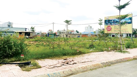 Housing land offered for sale in District 9, HCMC (Photo: SGGP)