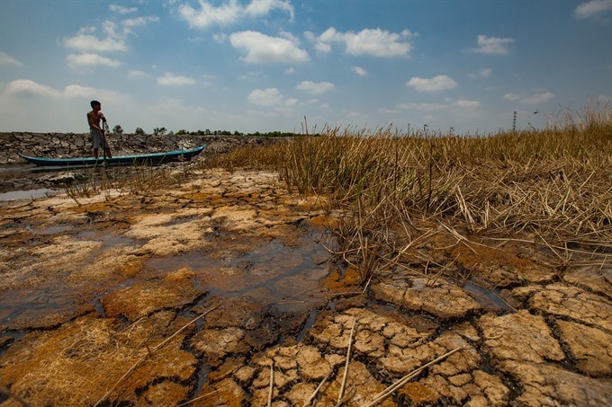 Vietnam’s worst drought in 90 years killed off vast areas crops in the Mekong Delta last year. (Photo: VNA/VNS)