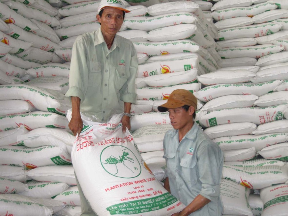 Sugar inventory reaches the highest ever level this year (Photo: SGGP)
