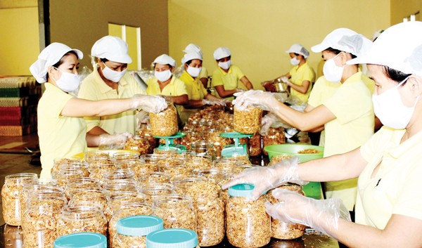 Workers prepare salted shredded meat jars for export (Photo: SGGP)