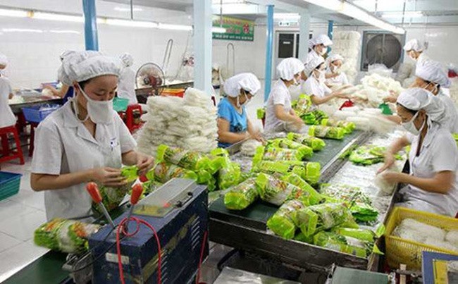 The export value of vegetables and fruits is estimated at US$1.7 billion in the first half of this year, marking a year-on-year increase of 45 percent. (Photo: baodautu.vn)
