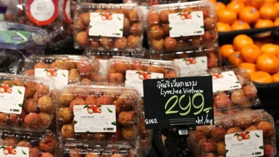 Litchi fruit has officially been shelved in Thai supermarkets since July 3, 2017