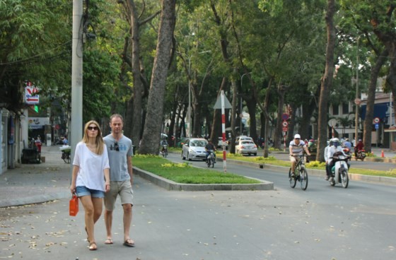 143 trees will be chopped down in Ton Duc Thang street, HCMC for building of Thu Thiem 2 bridge