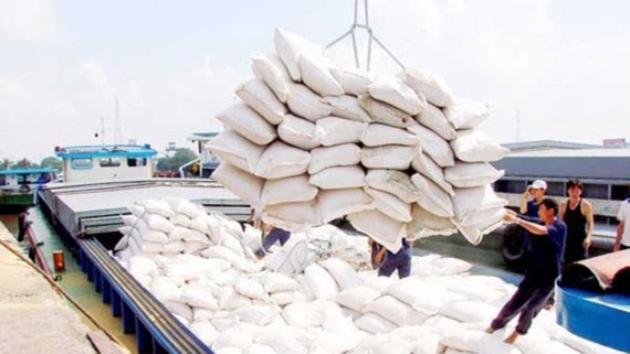Rice bags transported aboard for export (Photo: SGGP)