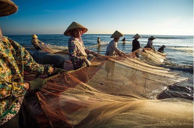 Fisherwomen in the central province of Thanh Hoa unfurl their fishing nets in the early morning on Sam Son Beach. (Photo: VNA/VNS)
