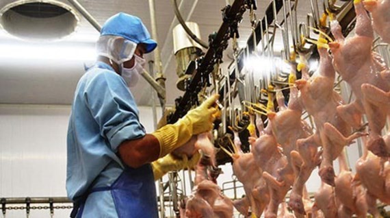 Deputy Minister works with firms to promote poultry export to EU