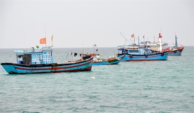 The Directorate of Fisheries is drafting a master plan on offshore fishing development until 2030, which says the funds needed for the sector by 2030 will be $1.87 billion. (Photo: thuyhaisan.net)