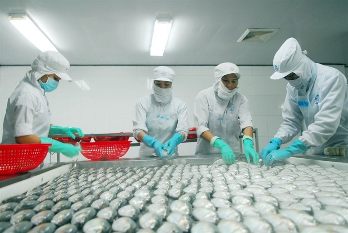 Seafood processing at the Ngo Quyen Joint Stock Company in Chau Thanh District, Kien Giang Province. (Photo: VNA/VNS)