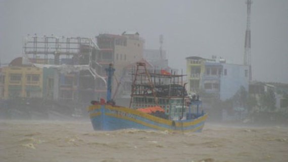 Typhoon Damrey makes landfall in the south central region of Vietnam on November 4