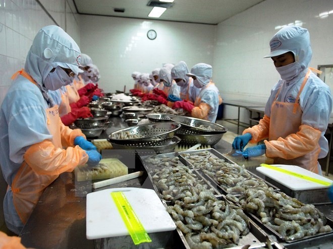 A processing line of frozen shrimp for exports. (Photo: VNA/VNS)